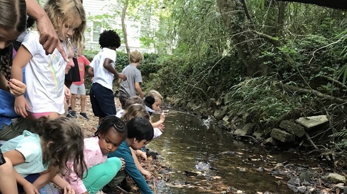 Children studying the stream.