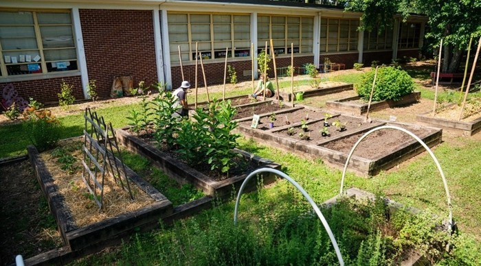 Picture of Giving Garden